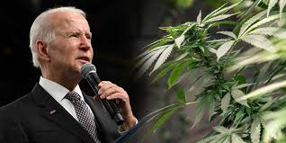  Biden perdonará condenas federales por marihuana